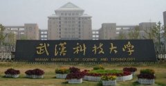 武漢科技大學MPA廣東班調(diào)劑簡章