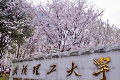 廣東MBA考研調(diào)劑武漢理工大學(xué)有什么條件？