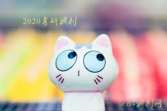 2020年MBAMPA考研復(fù)試調(diào)劑問題答疑（下）